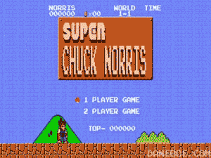 Chuck Norris GIF