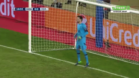 Image result for gif hugo lloris penalty save