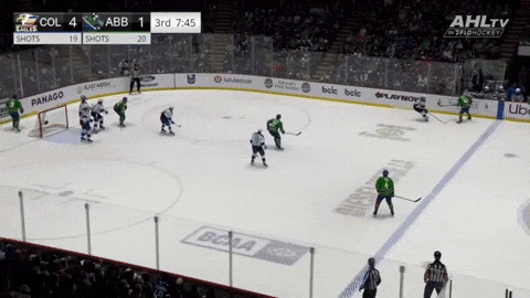 giphy.gif