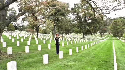 Cemetery GIF - Find & Share on GIPHY