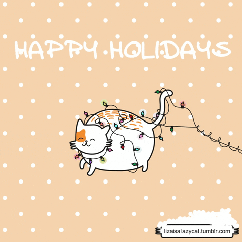 Happy Holidays Christmas Cat GIF Find Share On GIPHY