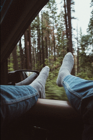 imagenes gif,imagenes graciosas, las mejores imagenes, imagenes graciosas, chistes, risas