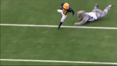 Minnesota Wild Mascot Football GIF by Nordy Wild