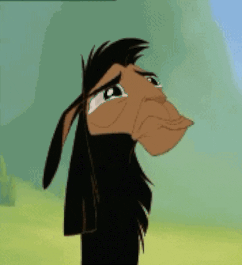 The Emperors New Groove GIF Find & Share on GIPHY