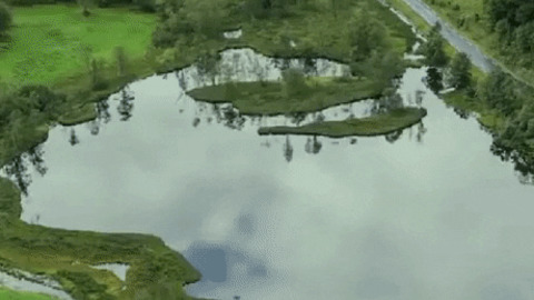 Go home island you are drunk gif