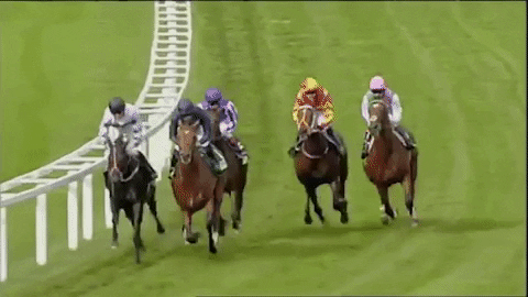 Sir Henry Cecil Champion GIF by World Horse Racing - Find & Share ...