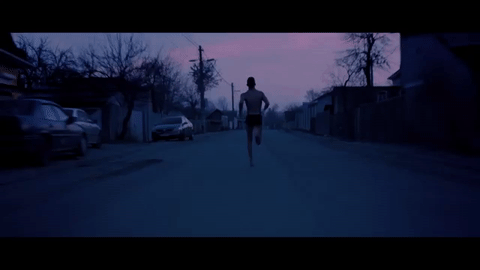 boef-rennen