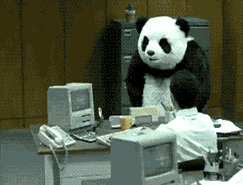 giphy.gif?response_id=5921eb888412488457