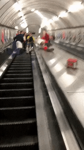 giphy.gif