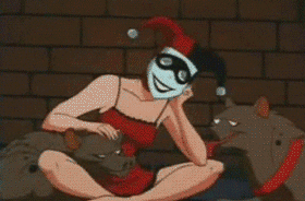 Cats Way GIF - Find & Share on GIPHY