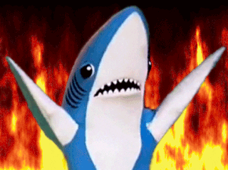 Shark Attacks GIFs - Find & Share on GIPHY