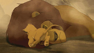The Lion King Film GIF