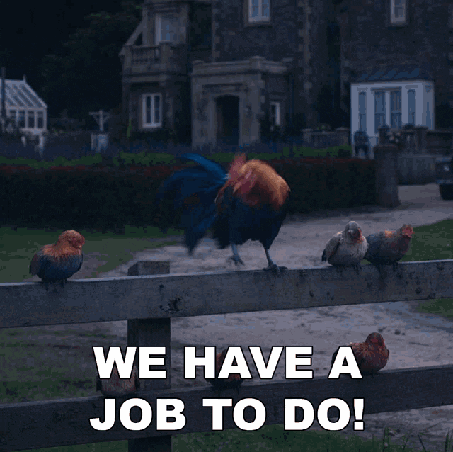 Domhnall Gleeson No GIF by Peter Rabbit Movie Find & Share on GIPHY