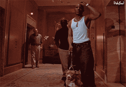 Dmx GIF - Find & Share on GIPHY