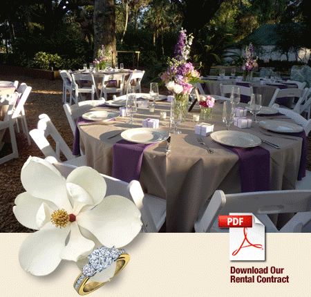 Wedding Park GIF - Find & Share on GIPHY