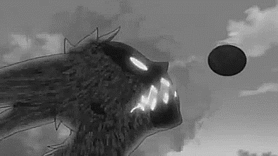 6 Tails GIFs - Find & Share on GIPHY