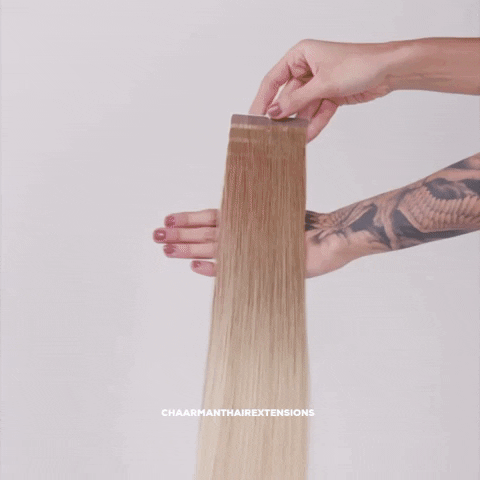 Extensions GIF by chaarmant