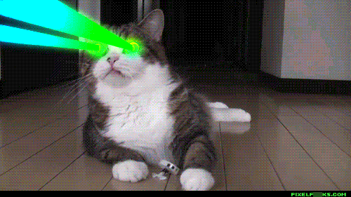 Cat with laser eyes