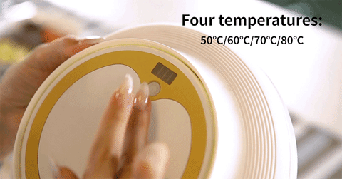 The World's First Rechargeable Self-heating Plate