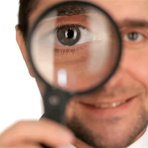 Verifica serviciul, domeniul si scopul inainte de a introduce date