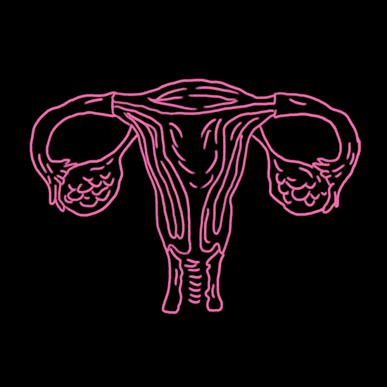 Uterus S Find And Share On Giphy