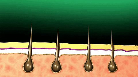 Hair Erase