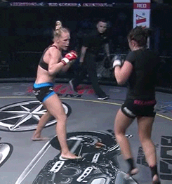 Holly Holm Vs GIF - Find & Share on GIPHY