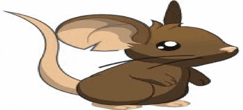 Mice GIF - Find & Share on GIPHY
