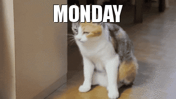 Image result for mondays gif