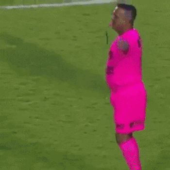 One of the best referee ever in football gifs