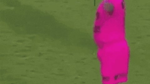 One of the best referee ever GIF