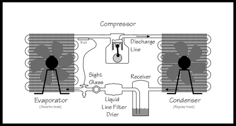 Fans GIF - Find & Share on GIPHY typical defrost timer wiring diagram 