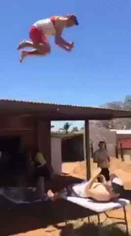 giphy.gif