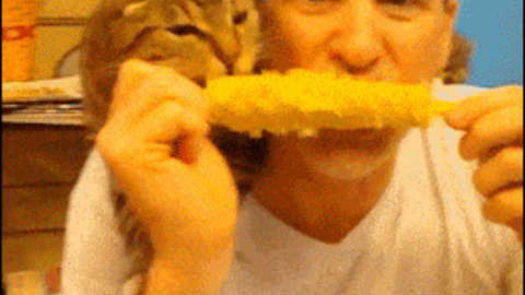 Yum Yum best Gif