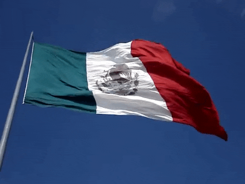 Bandera de Mexico ondeando gif movimiento