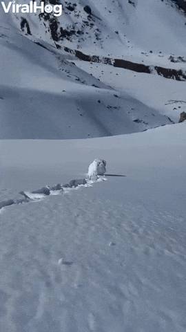 When a small gap starts snowballing into a bigger problem