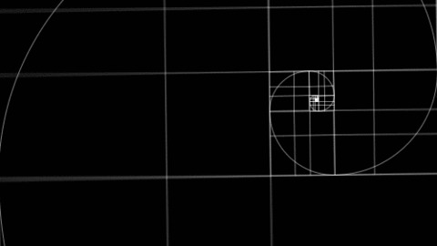 Fibonacci GIFs - Find & Share on GIPHY