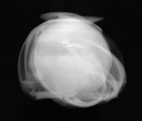 how gif rotate on Rotating Share GIPHY & GIF Find how gif rotate on Rotating Share GIPHY & GIF Find