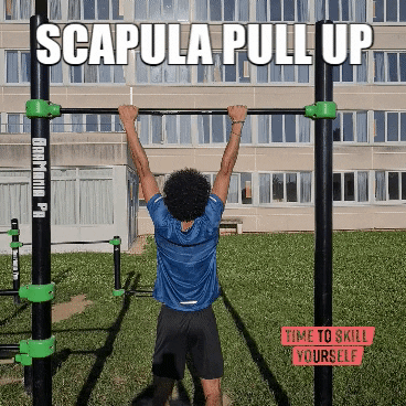 Gif animé représentant un coach privé réalisant des scapula pull ups.