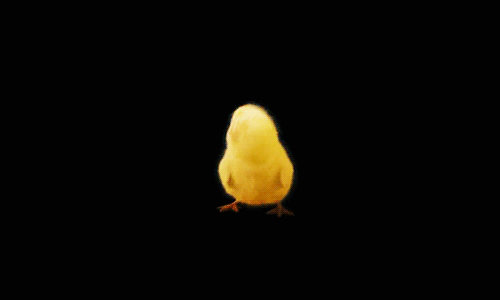 source.gif