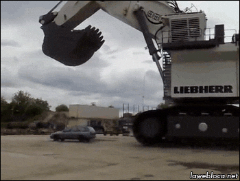 giphy.gif