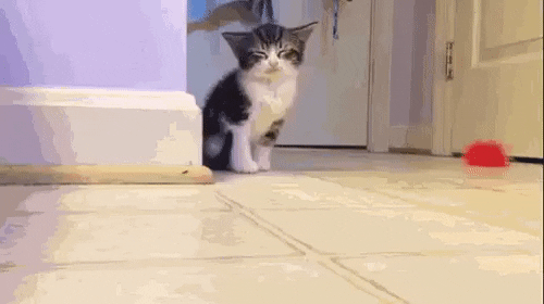 Trying To Stay Awake GIFs Get The Best GIF On GIPHY