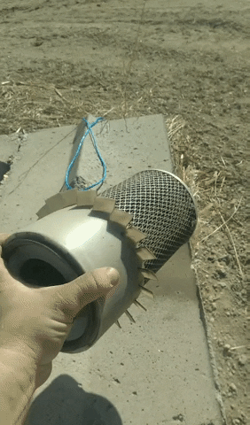 giphy.gif