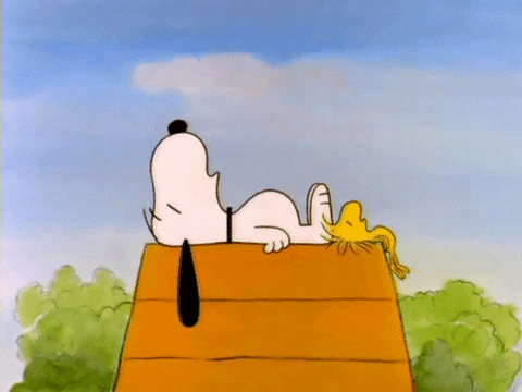 Snoopy and Woodstock sleeping on the roof of the dog house