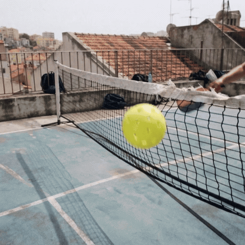 TOCO67 Pickleball GIF agkVNh83T4bL3IvfiN