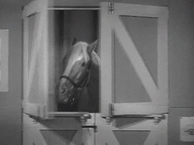 Mr ed of pictures Mister Ed