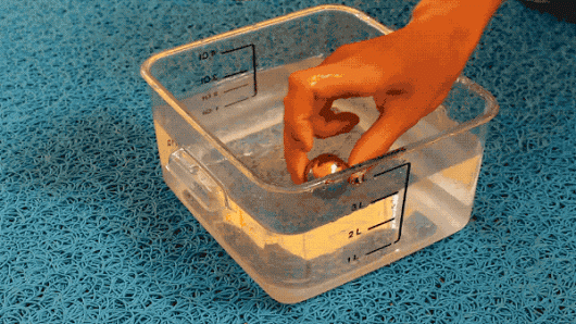 School Float GIF - Find & Share on GIPHY