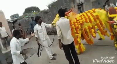 Dont Mess With Bull in funny gifs