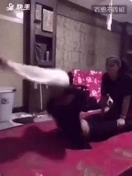 giphy.gif
