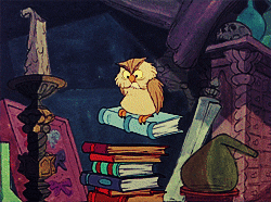Gif of an owl stepping down a staircase of floating books.